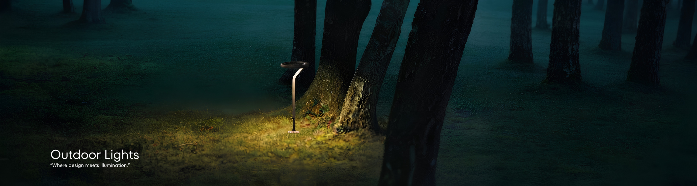 SALT outdoor light banner.png